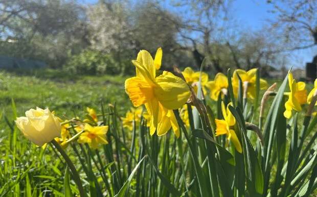 МЧС выпустило метеопредупреждение для рязанцев из-за аномальной жары с 1 апреля