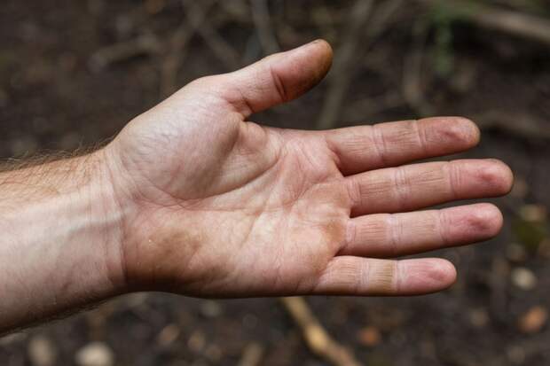 «Руки выдают»: оператор дрона раскрыл методы идентификации солдат ВСУ среди гражданских