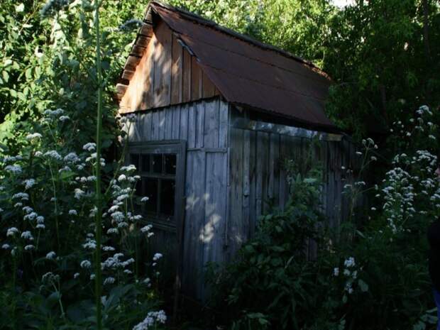Жительница Самары задолжала по алиментам 600 тысяч рублей и скрывалась на даче