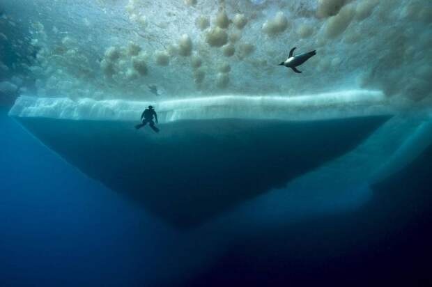 12 фото, от которых может развиться талассофобия - боязнь водных глубин
