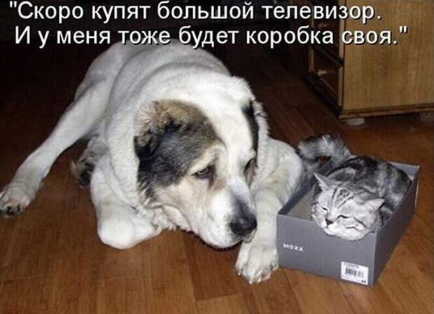 23 фото, глядя на которые, можно сказать: бывает же такое!