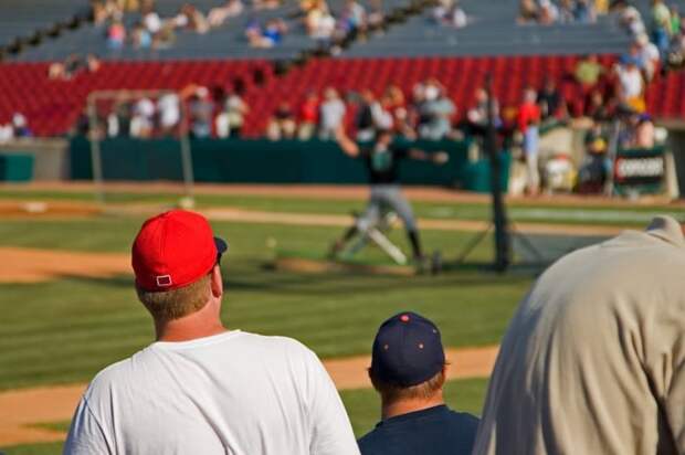 Baseball fans at a game