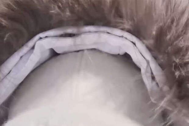 Певица Вика Цыганова опубликовала видео, как грызет лед с озера Байкал