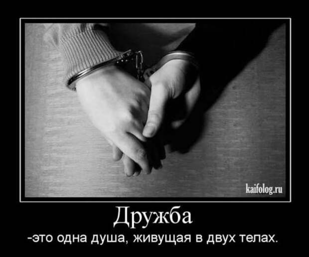 Прикольные демотиваторы с надписями. Подборка chert-poberi-dem-chert-poberi-dem-14580603092020-15 картинка chert-poberi-dem-14580603092020-15