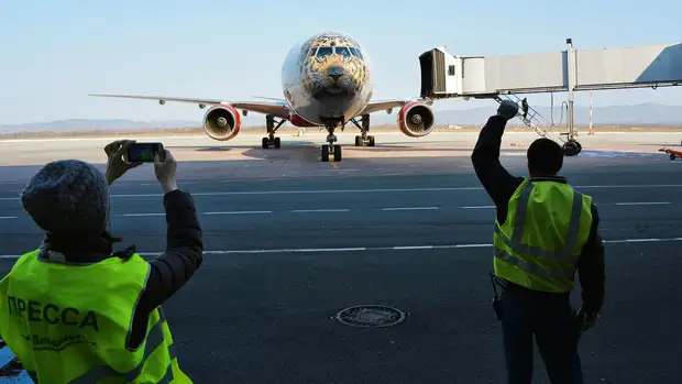 Потолок рухнул в кафе аэропорта Владивостока, когда там были люди