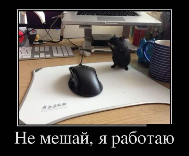 Демотиваторы демотиваторы, прикол, юмор
