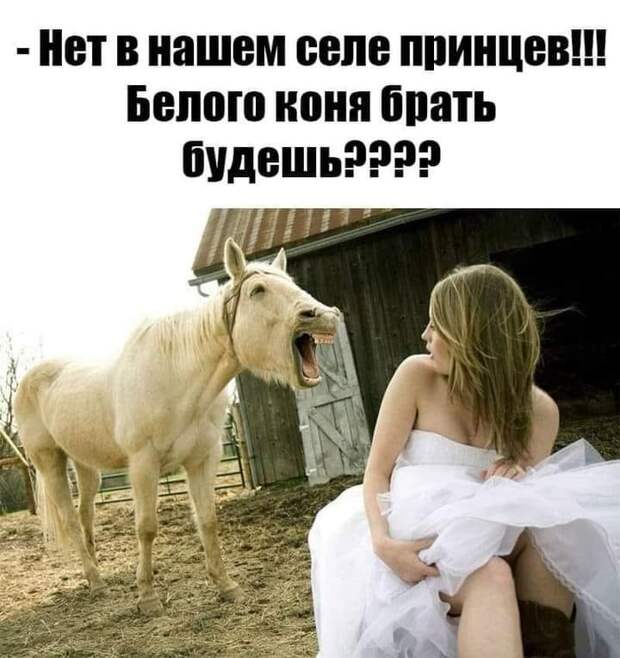 Жена ругается на мужа. Муж ей покорно отвечает...