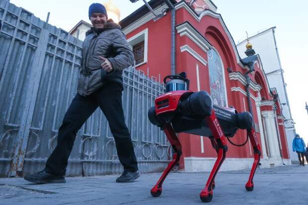 В Москве на службу в госинспекцию по недвижимости вышли робособаки
