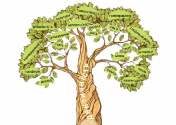 «Бандеровидение». На Украине разгорелся скандал из-за учебника по гражданскому образованию