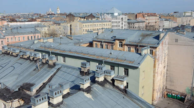 Статусную петербурженку заподозрили в обмане по «схеме Долиной»