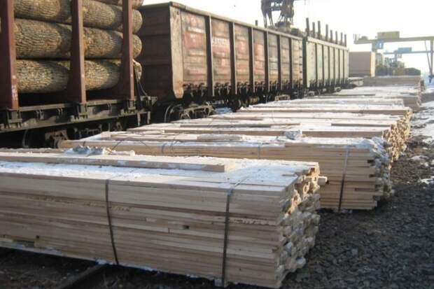 Более миллиарда рублей на махинациях с древесиной заработали двое приморцев