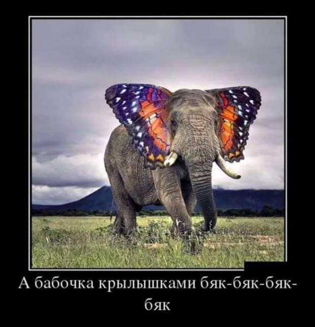 Прикольные демотиваторы с надписями. Подборка chert-poberi-dem-chert-poberi-dem-57530217102020-17 картинка chert-poberi-dem-57530217102020-17