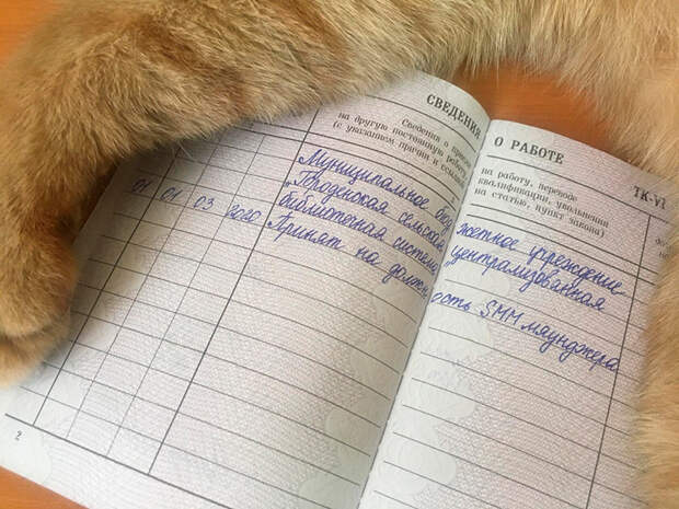 2. Без подписи