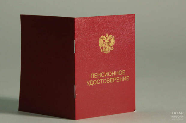 Икътисадчы: 10 бала анасы бер көн дә эшләмичә иминият пенсиясен алырга хокуклы