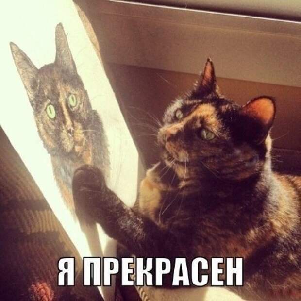 32 Фото Для Отличного Настроения На Всю Неделю!