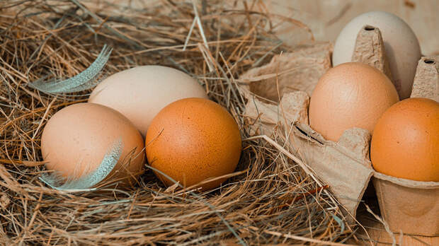Экономист Дудчак: уменьшить цены на яйца поможет снижение ключевой ставки ЦБ