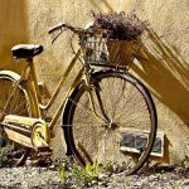 Велосипед. Фото: pixabay. com