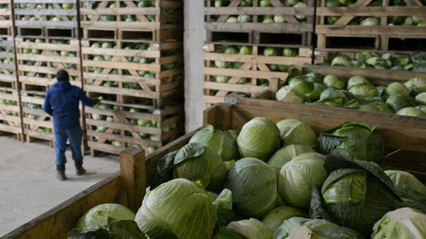 Овощи борщевого набора за год заметно подешевели в России