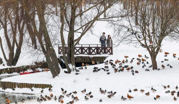Облачная погода и до 2 градусов мороза ожидаются в Москве 27 февраля