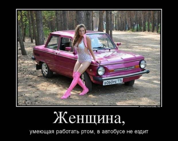 Демотиваторы про баб (30 штук)