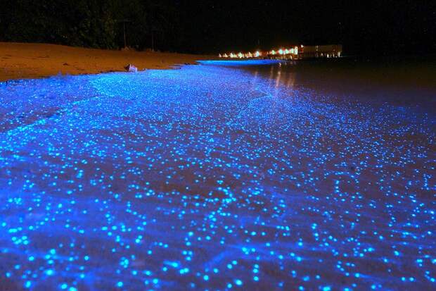 28. Светящийся планктон на пляже острова Ваадху, Мальдивы