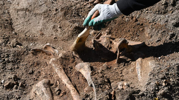 В Иордании обнаружили массовое захоронение