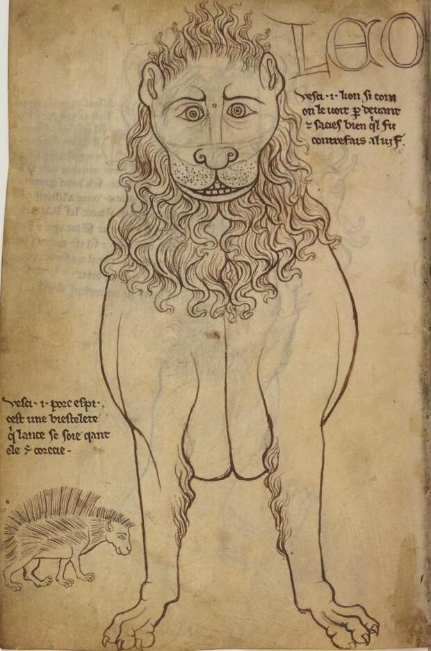 2277043d27420c81f63068bf6ab9ae66--lion-portfolio.jpg 2277043d27420c81f63068bf6ab9ae66--lion-portfolio.jpg