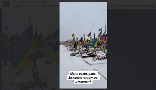 ПОТЕРИ УКРАИНЫ ХОТЬ И НЕ ДОТЯГИВАЮТ ДО МАСШТАБОВ ВЕЛИКОЙ ОТЕЧЕСТВЕННОЙ ВОЙНЫ, НО ВСЁ РАВНО ПОТРЯСАЮТ. ОДНО ИЗ НОВЫХ КЛАДБИЩ ХАРЬКОВА. СКРИНШОТ С ТГ-КАНАЛА "ВОЕННЫЙ ОСВЕДОМИТЕЛЬ"