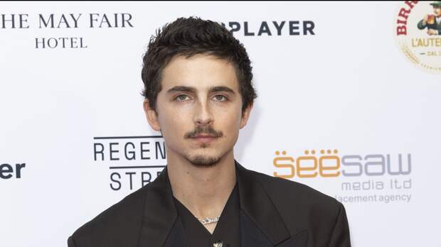 Тимоти Шаламе прогулялся по улице с сумкой за миллион рублей