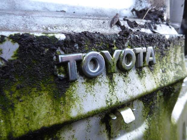 Топ-менеджер японского автоконцерна признался в обмане при тестировании машин «Тойота»