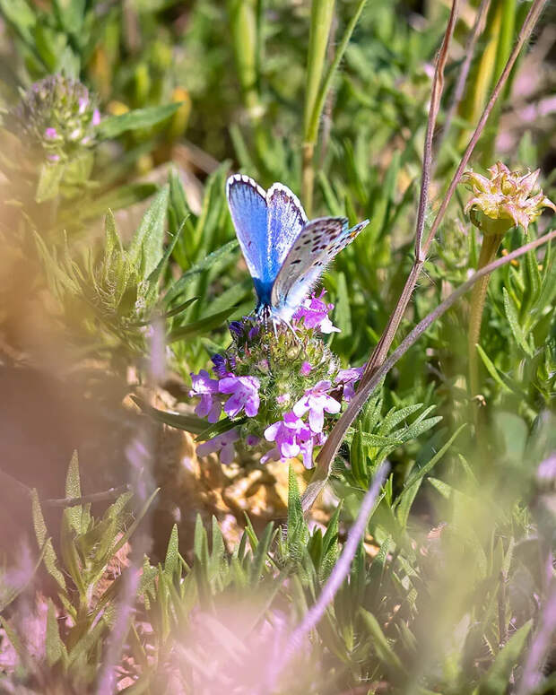 Доброе утро!