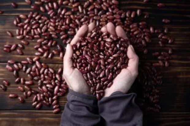 Плюсы и минусы. Как хранить и правильно готовить фасоль