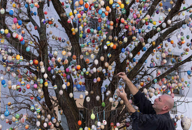 10 000 расписных яиц на дереве в городе Заальфельде, Германия