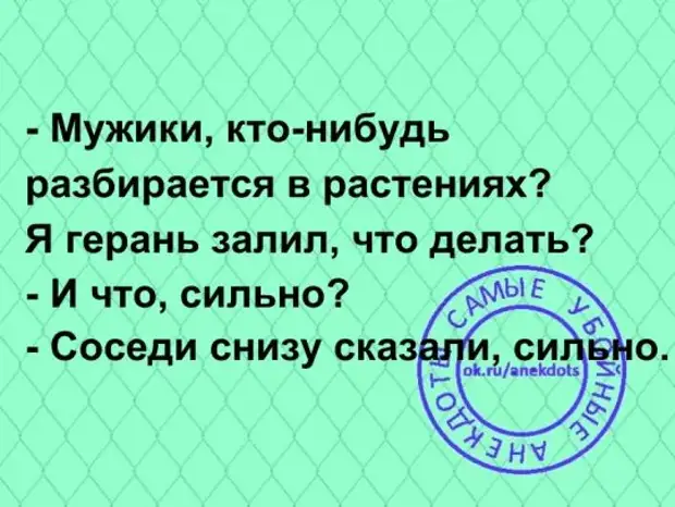 Разберусь как нибудь. Мемы для стикеров. Ты разбираешься в людях. Смешные переписки с программистом. Смешные фразы для подарка.