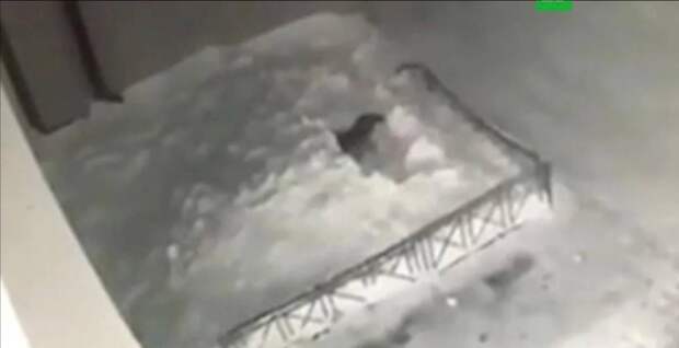 Подросток упал с 16-го этажа во время мытья окон и выжил в Домодедово