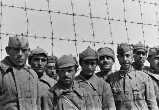 Источник изображения:    argumentua.com