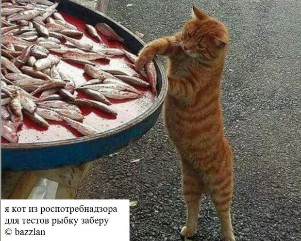 Общаясь с некоторыми людьми, отчётливо понимаешь, что ты не из тех людей, кому можно доверить оружие.