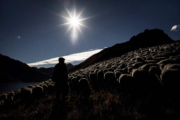 Жизнь пастуха в Альпах