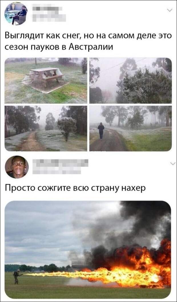 Забавные комментарии из социальных сетей