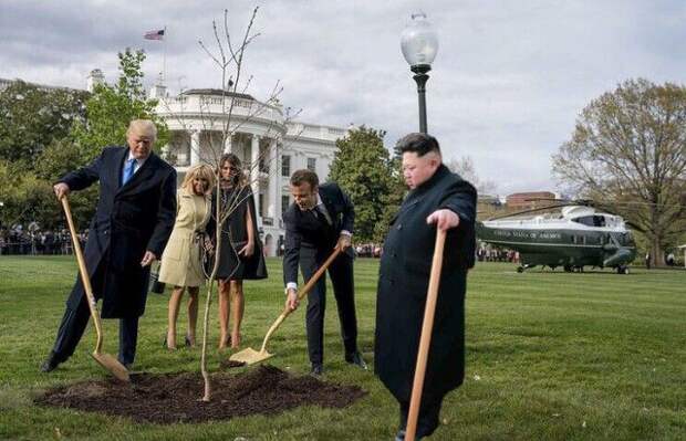 Сажающие дерево Трамп и Макрон стали героями фотожаб (41 фото)