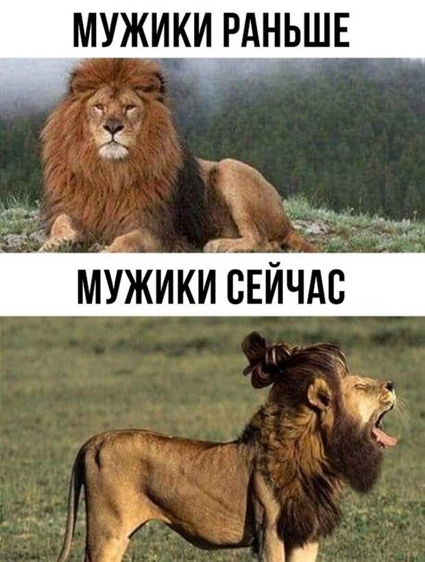 30 прикольных картинок