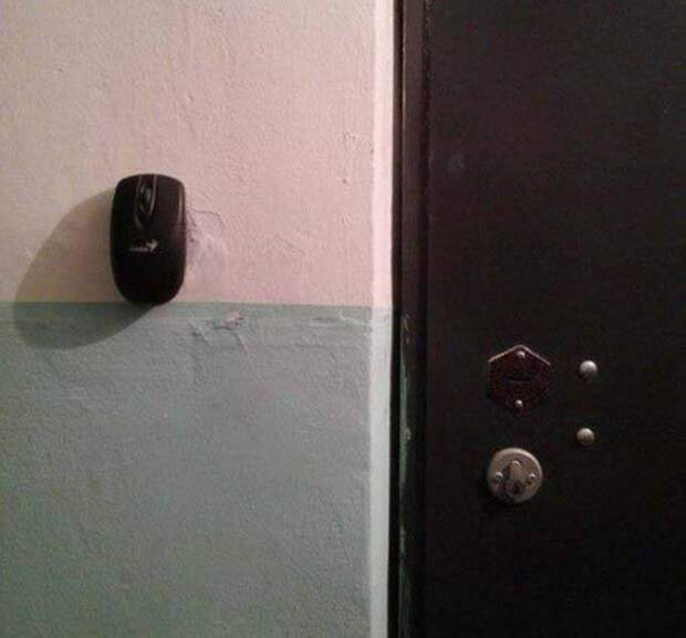 Приколы