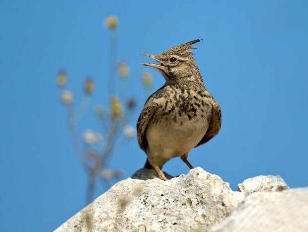 Почему 22 марта девушкам нельзя надевать блестящие бусы и мыть полы