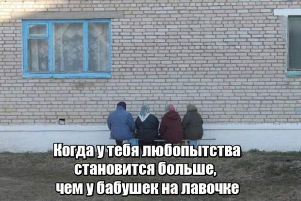 Подборка картинок Подборка картинок