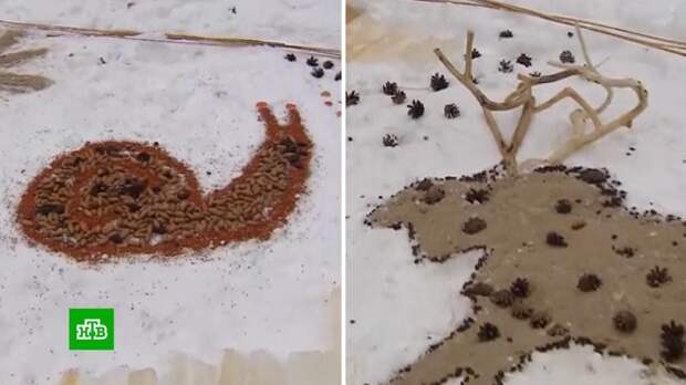 В Москве проходит фестиваль съедобных картин на снегу