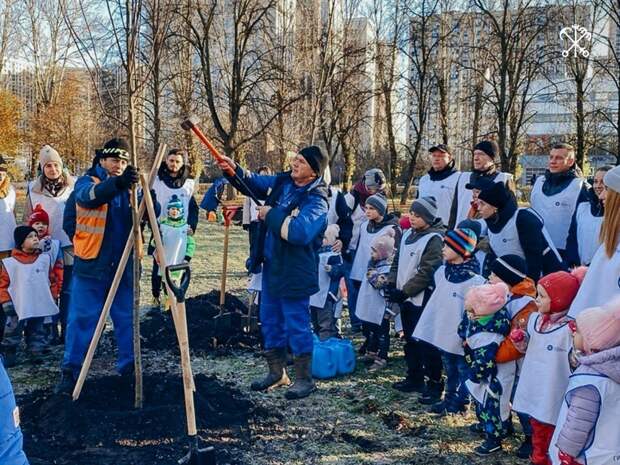 В Петербурге на проспекте Юрия Гагарина высадили 20 виргинских черёмух