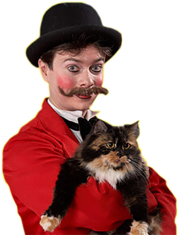 Фронтовые кошки из зоны СВО выступили в театре Куклачева