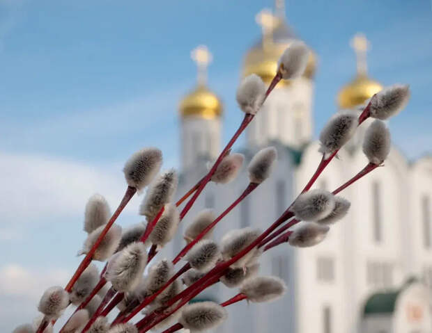 Вербное воскресенье: смысл праздника, почему используют вербу, дата в 2026 году