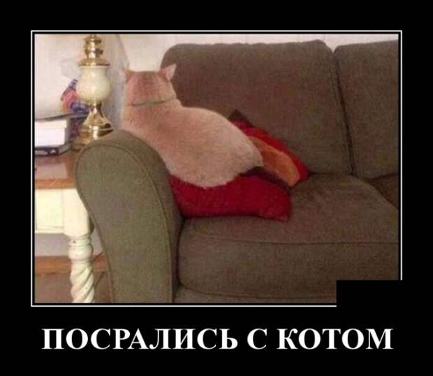 Демотиваторы (30 фото)