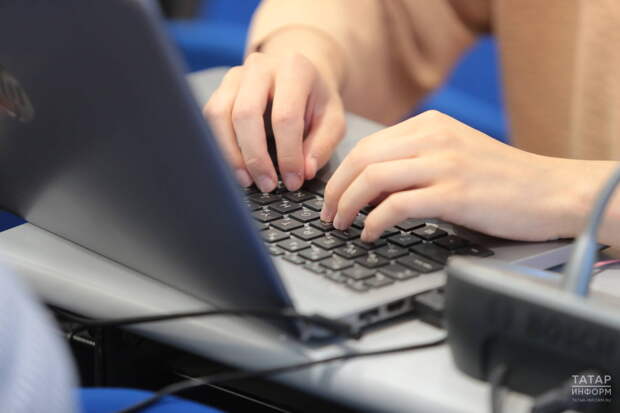 Чернышов предложил закрепить право на удаленку для сотрудников в период сильных морозов